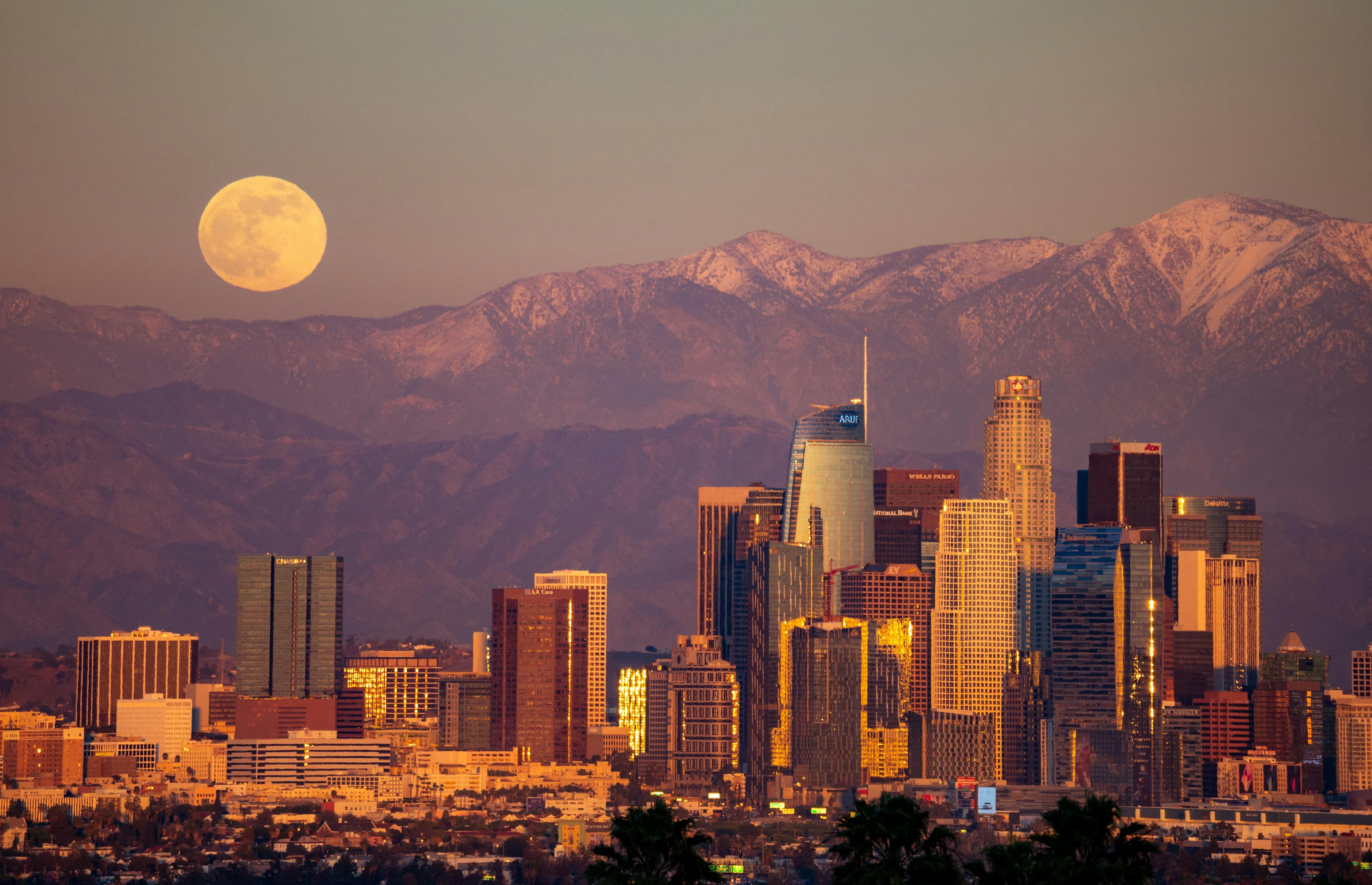 LOS ANGELES